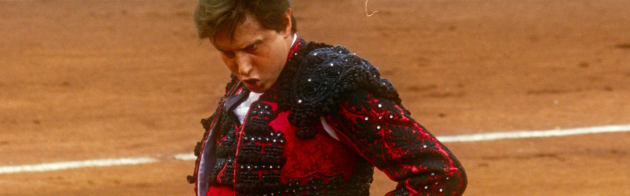 Afternoons of Solitude