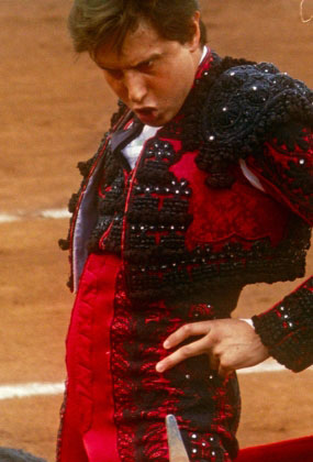 Afternoons of Solitude